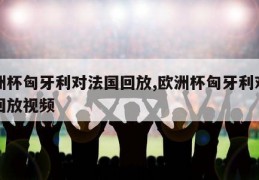 欧洲杯匈牙利对法国回放,欧洲杯匈牙利对法国回放视频