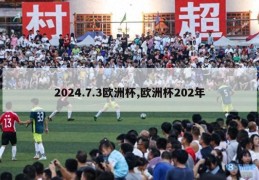 2024.7.3欧洲杯,欧洲杯202年