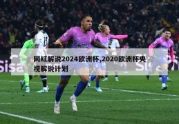 网红解说2024欧洲杯,2020欧洲杯央视解说计划