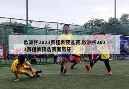 欧洲杯2023赛程表预选赛,欧洲杯2023赛程表预选赛葡萄牙