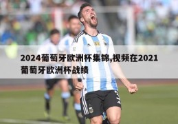 2024葡萄牙欧洲杯集锦,视频在2021葡萄牙欧洲杯战绩