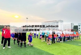 adiads欧洲杯配色,adidas2021欧洲杯用球