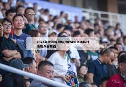 2024年欧洲杯球场,2024年欧洲杯球场观众砸东西