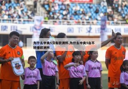 为什么中央5没有欧洲杯,为什么中央5台不转播欧洲杯