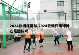 2024欧洲杯用球,2024欧洲杯用球标还是圆标呢