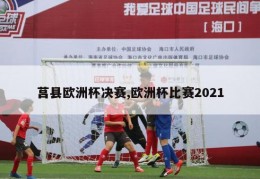 莒县欧洲杯决赛,欧洲杯比赛2021