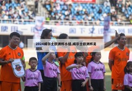 2024威尔士欧洲杯小组,威尔士欧洲杯足球队