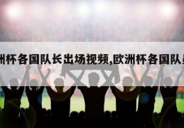 欧洲杯各国队长出场视频,欧洲杯各国队员名单