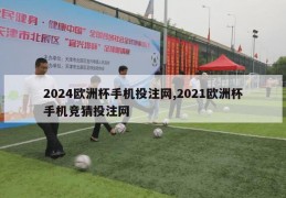 2024欧洲杯手机投注网,2021欧洲杯手机竞猜投注网