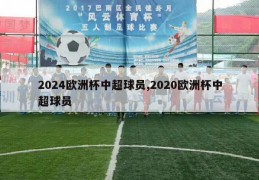 2024欧洲杯中超球员,2020欧洲杯中超球员