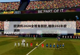 欧洲杯2024全视角回放,播放202年欧洲杯