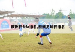 欧洲杯fifa排名,欧洲足球杯排名