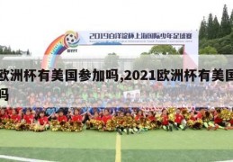 欧洲杯有美国参加吗,2021欧洲杯有美国吗