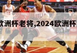 2024欧洲杯老将,2024欧洲杯主办城市