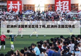 欧洲杯法国男足出线了吗,欧洲杯法国出场名单